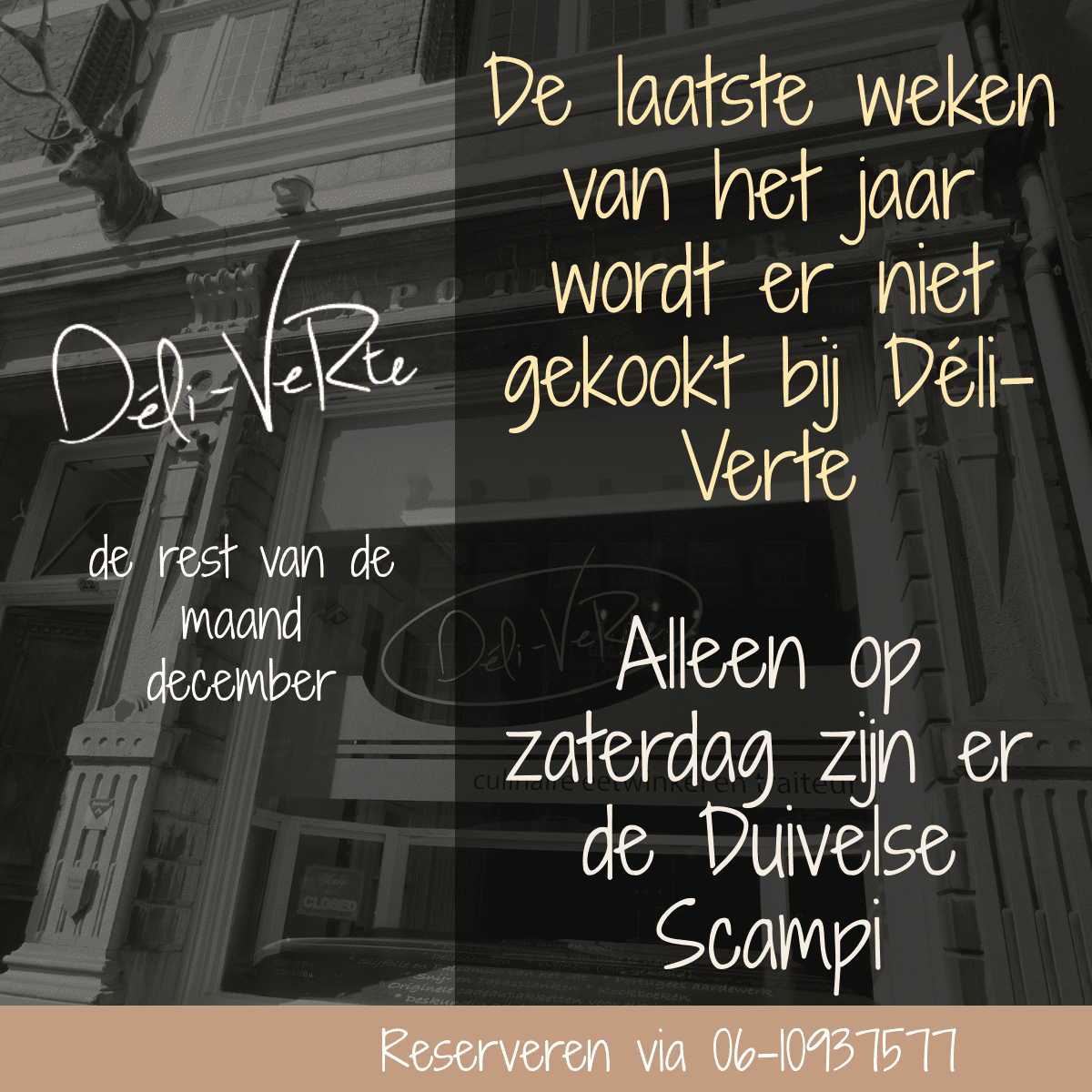 Deli-Verte-1200x1200-layout224-kwaliteit-scampi-lekker-italiaans-1gqurmk